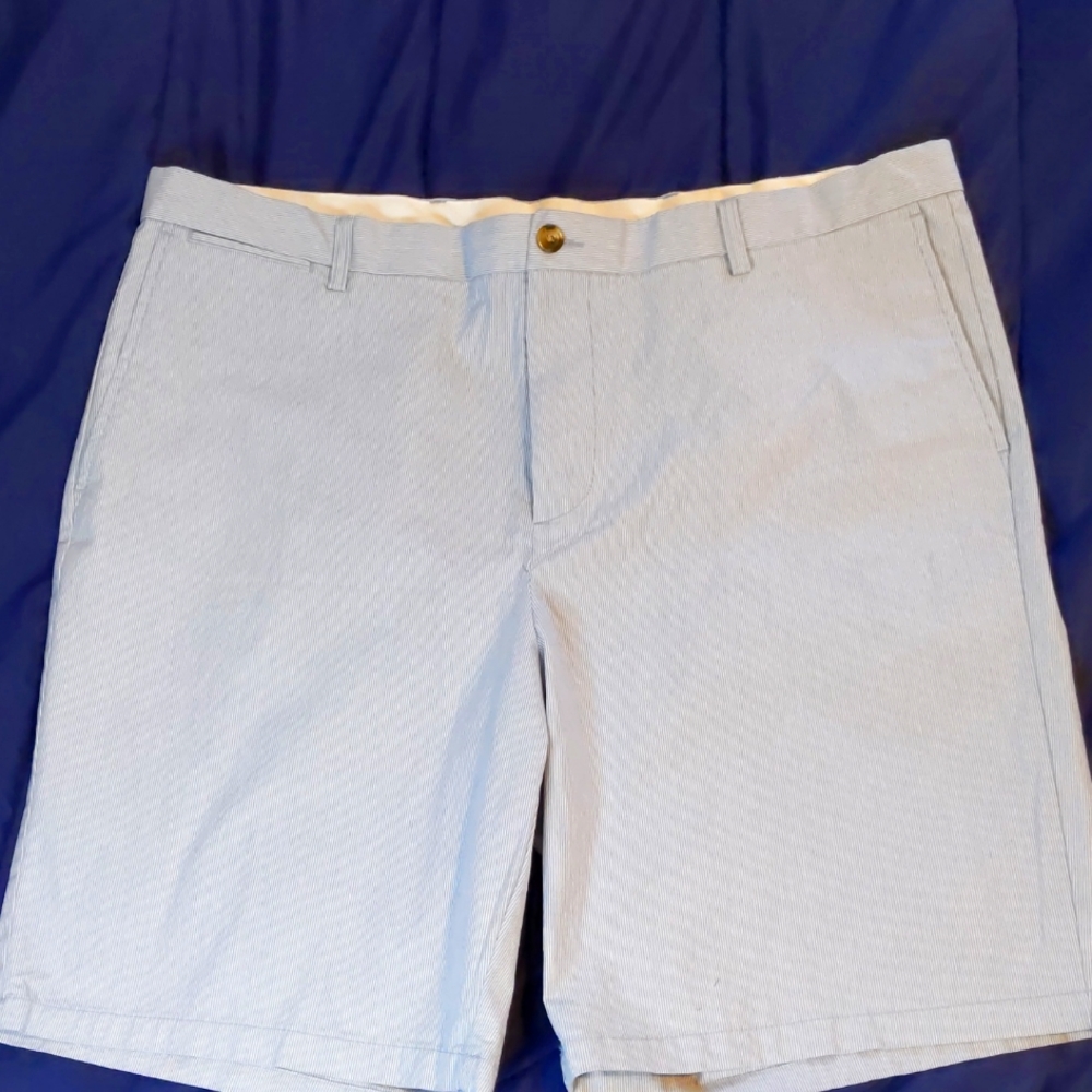 Blue and White Ultimate Slim Pinstripe Shorts
